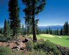 Golf Timilick