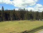 Meadow Photo